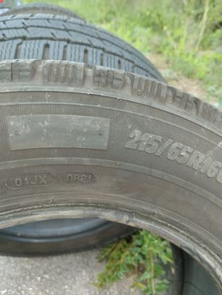 Michelin Agilis Alpin Neumáticos