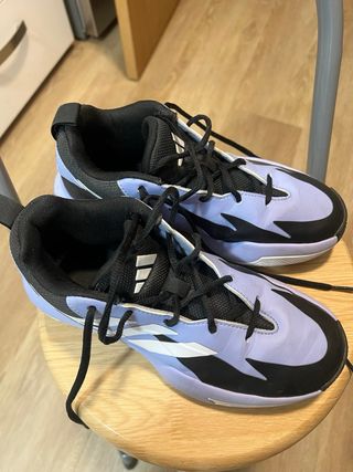 Zapatillas Adidas Baloncesto Negras/Moradas