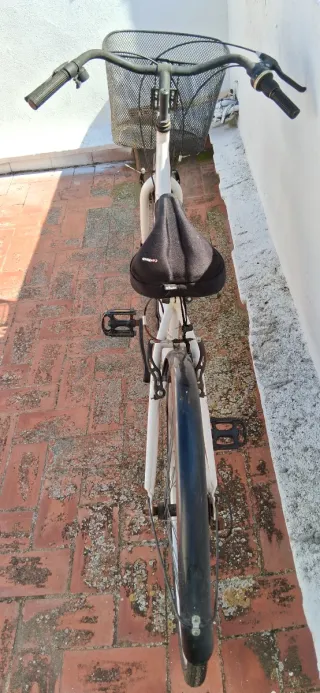 Bicicleta mujer con marchas y cesta precio negocia