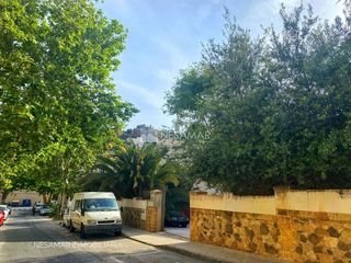 Oficina en alquiler en El Mayorazgo - El Limonar en Málaga