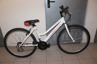 Bicicleta 26 pulgadas. Buen estado. 