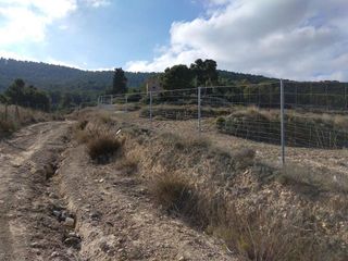 Terreno en venta en Mula