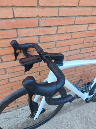 Specialized Tarmac SL7 Expert talla 54