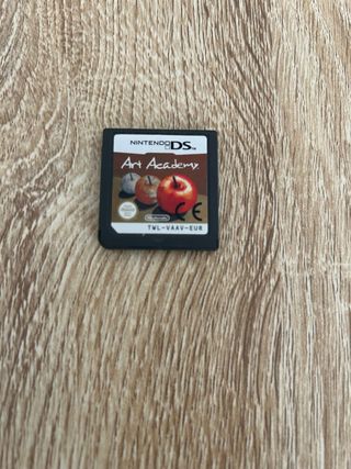 Nintendo DS Art Academy Juego