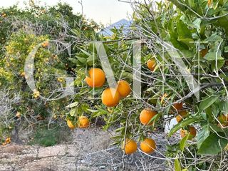 Terreno en venta en Alfaz del Pi Pueblo-Urbanizaciones en Alfaz del pi / Alfàs del Pi