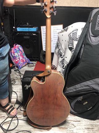 Bajo Acústico Warwick Fretless 5 Cuerdas