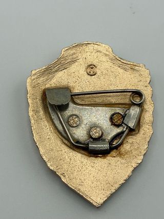 2 Insignias Militares Soviéticas CCCP