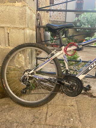 Bicicleta de montaña Olarizun