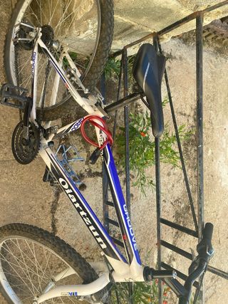 Bicicleta de montaña Olarizun