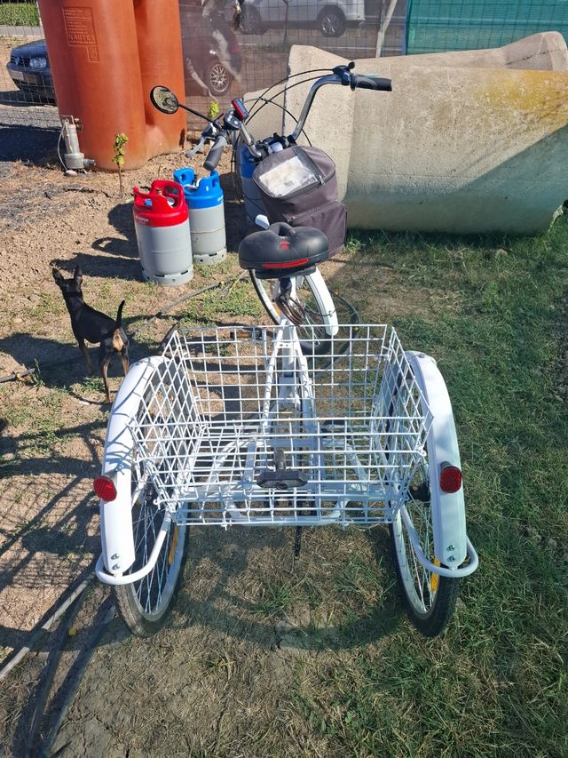 Triciclo para adulto