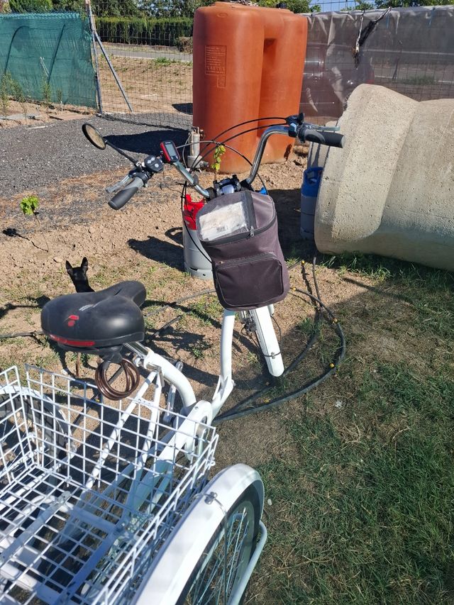 Triciclo para adulto