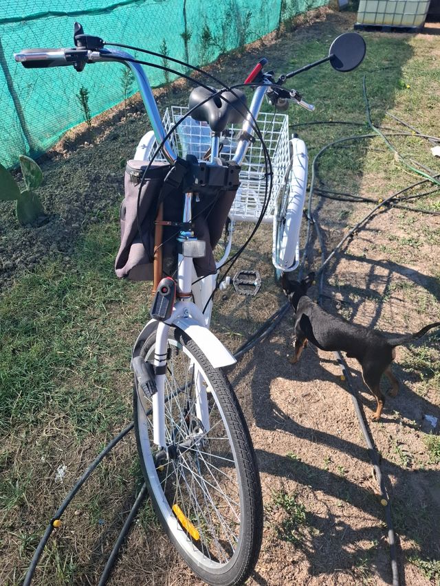 Triciclo para adulto