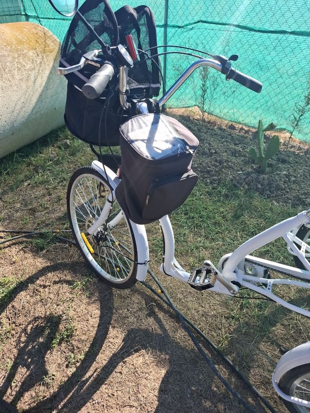 Triciclo para adulto