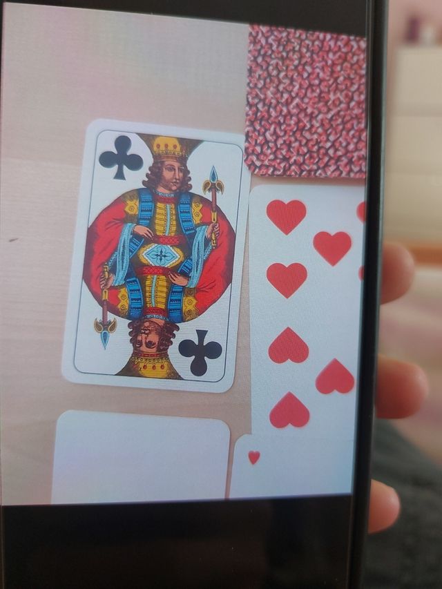 Carte da Picchetto Modiano Plastificate