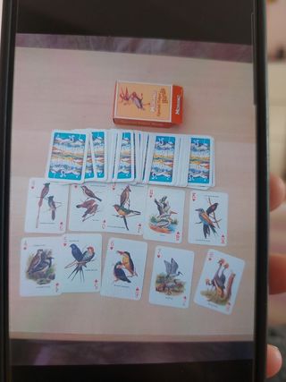 Carte da gioco Modiano Special Poker Birds