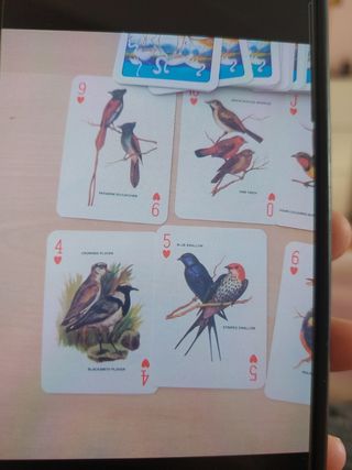 Carte da gioco Modiano Special Poker Birds