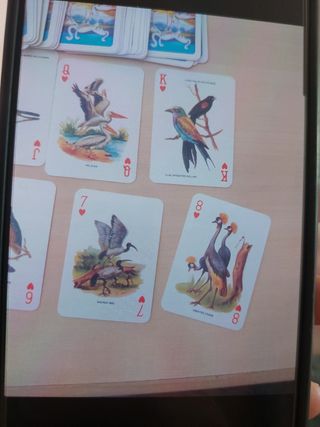 Carte da gioco Modiano Special Poker Birds