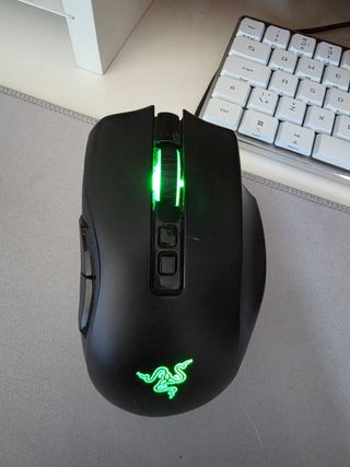 Razer Naga Pro Ratón Gaming Negro y Verde