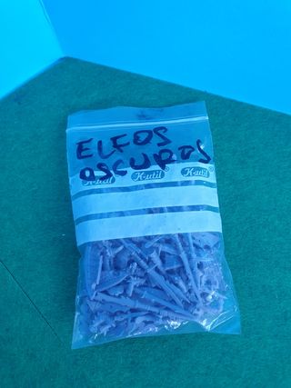 Bit degli Elfi Oscuri di Warhammer