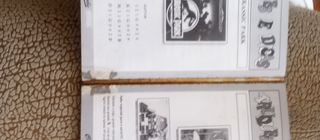 Guia Oficial Truques e Dicas Sega