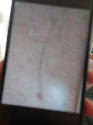 Collana Albero della Vita donna