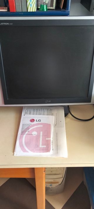 Pantalla LG Flatron 19