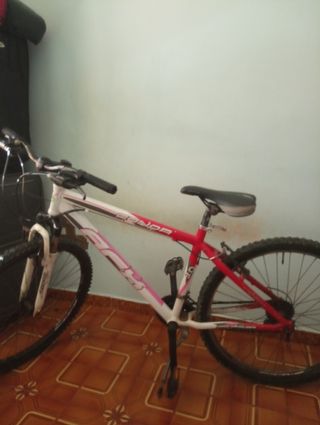 Bicicleta de montaña