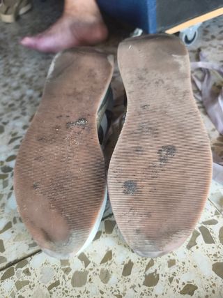 Zapatillas Gioseppo Beige/Verde Talla 40