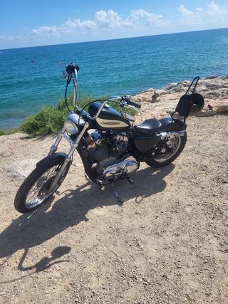 Harley Davidson XL 883 Sportster.