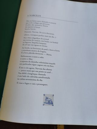 Livro A Aventura da Caça - Manuel de Lancastre