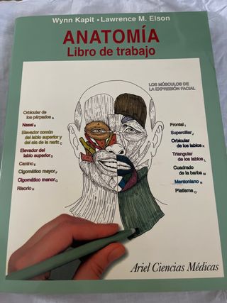 Anatomía. Libro de trabajo (Spanish Edition)