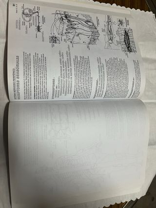 Anatomía. Libro de trabajo (Spanish Edition)