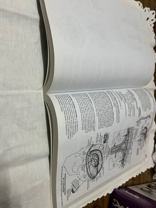 Anatomía. Libro de trabajo (Spanish Edition)