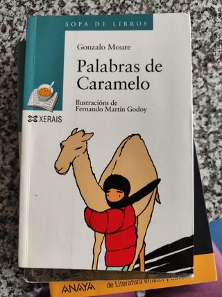 Palabras de Caramelo (Galego) (Sopa de libros /...