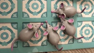 Juego de mesa Chop! Chop! Djeco