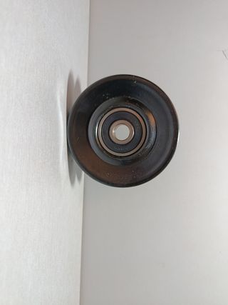Rodillo guía correa trapecial