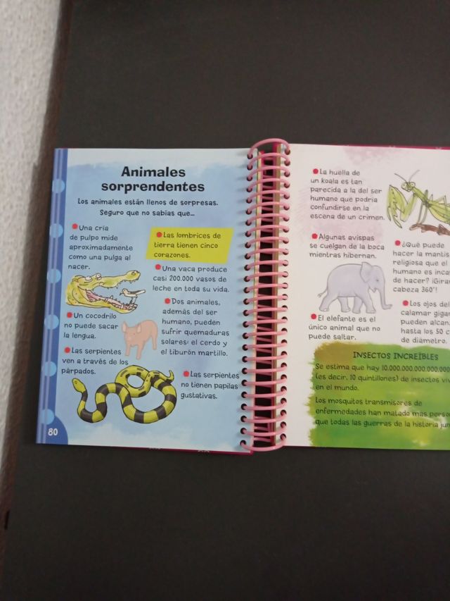 El perfecto manual para chicas: ¡Todo lo que un...