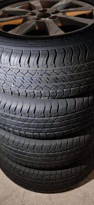Llantas y Neumáticos 225/65 R17