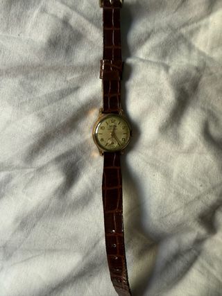 Reloj Dogma Dorado y Marrón