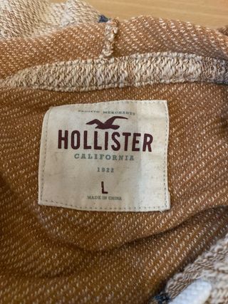 Sudadera Hollister Hombre Marrón Multicolor