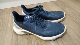 Zapatillas Salomon Trail Running Alphacross GORE-T