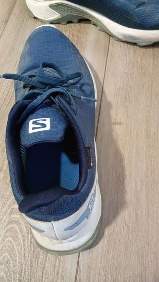 Zapatillas Salomon Trail Running Alphacross GORE-T