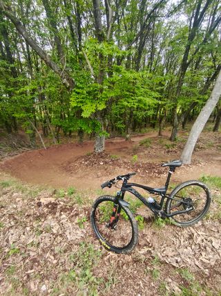 Orbea M30 XT Carbono ( no negociable, no cambios )