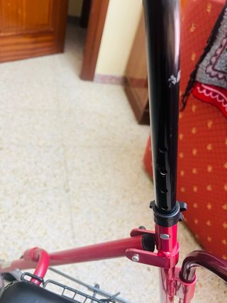 Andador con asiento y cesta