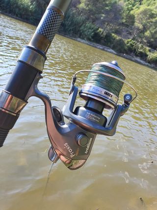 Equipo Pesca Siluro, Pesca Río, Caña, Carrete