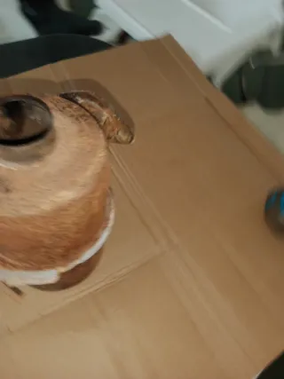 Filtro de aire motocultor