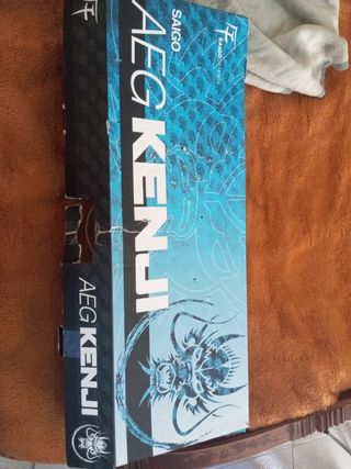 AEG Kenji Saigo Defense