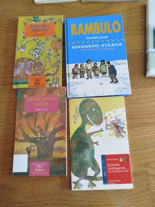 28 libros infantiles en euskera 