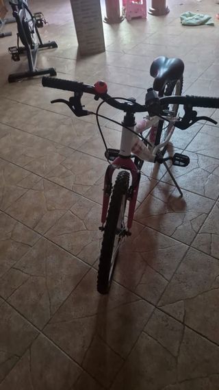 Bicicleta niña DENBIKE FIRST 20