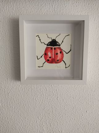 Quadro, acquerello, «coccinella fortunata»